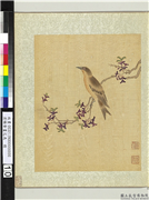 清杨晋画花鸟　册　枝上画眉,绘画,翎毛,花草