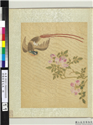 清杨晋画花鸟　册　蔷薇绶带鸟,绘画,翎毛,花草