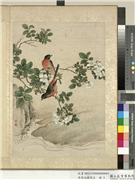 清蒋廷锡写生　册　野蔷薇,绘画,花草,翎毛,山水,其他