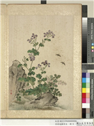 清蒋廷锡写生　册　菜花,绘画,花草,草虫,山水