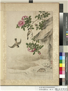 清蒋廷锡写生　册　蔷薇,绘画,花草,翎毛,其他,山水