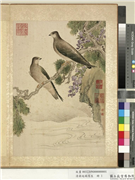 清蒋廷锡写生　册　柏树藤花,绘画,花草,翎毛,树木