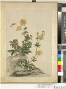 清蒋廷锡写生　册　金莲茉莉,绘画,花草,山水,草虫