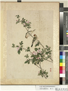 清蒋廷锡写生　册　山踯躅,绘画,花草,翎毛