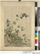清蒋廷锡写生　册　莲花翠雀,绘画,翎毛,花草,草虫,山水
