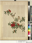 清蒋廷锡写生　册　榴花,绘画,花草,翎毛