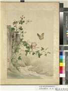 清蒋廷锡写生　册　牵牛花,绘画,花草,草虫,山水