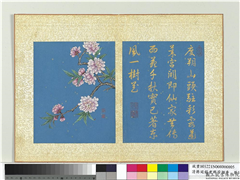 清蒋廷锡画群芳撷秀　册　碧桃,绘画,花草