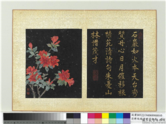 清蒋廷锡画群芳撷秀　册　杜鹃,绘画,花草
