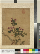 清蒋廷锡画花卉　册　海棠,绘画,花草