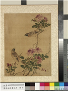 清蒋廷锡画花卉　册　玫瑰双禽,绘画,花草,翎毛