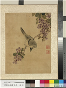 清蒋廷锡画花卉　册　紫薇白头,绘画,花草,翎毛