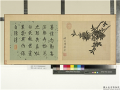 清蒋廷锡写生花卉　册　桃花,绘画,花草