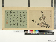 清蒋廷锡写生花卉　册　石榴,绘画,花草