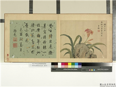 清蒋廷锡写生花卉　册　萱花,绘画,花草