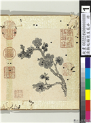 清蒋廷锡写生花卉　册　杏花,绘画,花草