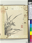 清蒋廷锡写生花卉　册　兰花,绘画,花草