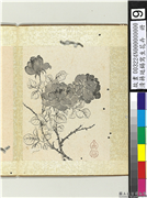 清蒋廷锡写生花卉　册　月季,绘画,花草