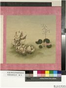 清蒋廷锡花卉　册　虎耳草,绘画,花草,山水
