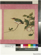 清蒋廷锡花卉　册　果熟来禽,绘画,果蔬,翎毛