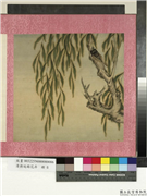 清蒋廷锡花卉　册　夏蝉图,绘画,草虫,树木