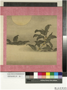 清蒋廷锡花卉　册　月桂图,绘画,花草,山水