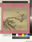 清蒋廷锡花卉　册　梅花,绘画,花草