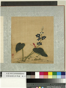 清蒋廷锡花卉草虫　册　豆娘,绘画,草虫,花草,山水