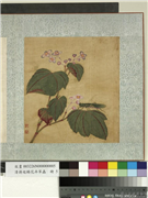 清蒋廷锡花卉草虫　册　秋海棠,绘画,花草,草虫