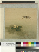 清蒋廷锡花卉草虫　册　蜻蜓,绘画,草虫,花草,水中动植物