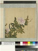 清蒋廷锡花卉草虫　册　玫瑰,绘画,花草,翎毛