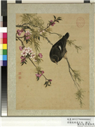 清蒋廷锡画花鸟　册　桃柳鸜鹆,绘画,树木,花草,翎毛