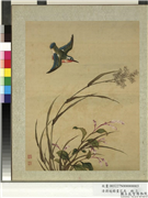 清蒋廷锡画花鸟　册　芦蓼翡翠,绘画,花草,翎毛
