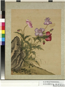 清蒋廷锡画花鸟　册　罂粟,绘画,花草,山水