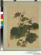 清蒋廷锡画花鸟　册　秋海棠,绘画,花草