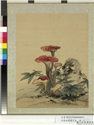 清蒋廷锡画花鸟　册　紫芝竹石,绘画,花草,树木,山水