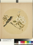 清蒋廷锡画花鸟　册　碧桃,绘画,花草,翎毛,草虫