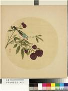 清蒋廷锡画花鸟　册　荔枝,绘画,果蔬,翎毛