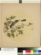 清蒋廷锡画花鸟　册　樱桃,绘画,果蔬,翎毛