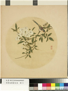 清蒋廷锡画花鸟　册　贴梗海棠,绘画,翎毛,花草