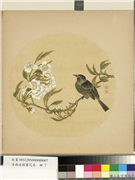 清蒋廷锡画花鸟　册　梨花,绘画,花草,翎毛