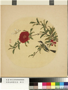 清蒋廷锡画花鸟　册　石榴花蝶,绘画,翎毛,草虫,花草