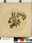 清蒋廷锡画花鸟　册　荔枝,绘画,果蔬,翎毛