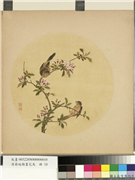 清蒋廷锡画花鸟　册　贴梗海棠,绘画,翎毛,花草