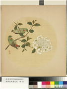 清蒋廷锡画花鸟　册　绣球双禽,绘画,花草,翎毛
