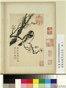 清蒋廷锡写生花鸟　册　梅影鸟声,绘画,花草,翎毛