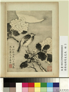 清蒋廷锡写生花鸟　册　鸟梦悠然,绘画,山水,翎毛,花草