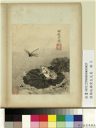 清蒋廷锡写生花鸟　册　荷蛙蜻蜓,绘画,花草,草虫,水中动植物