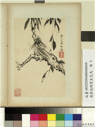 清蒋廷锡写生花鸟　册　螳螂捕蝉,绘画,草虫,树木
