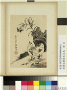 清蒋廷锡写生花鸟　册　鸡雏捎蝶,绘画,翎毛,草虫,花草